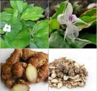 Cây Địa Liền